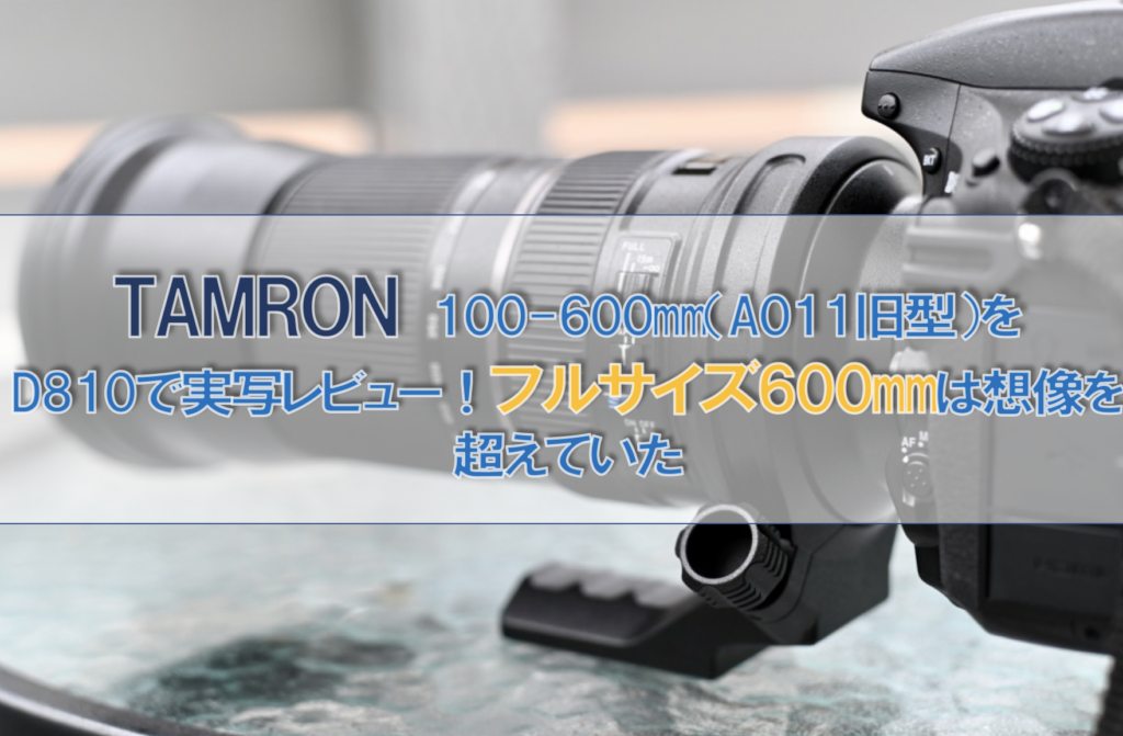 フルサイズ初心者におすすめ望遠レンズ Tamron 150 600mm F5 6 3 Vc Usd レビュー スタジオ さぼてん